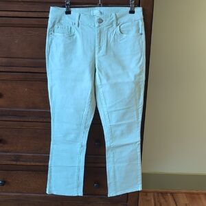 LOFT Women's Soft Blue Straight Leg Jeans